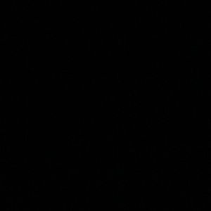 Meet your Posher, Lucas